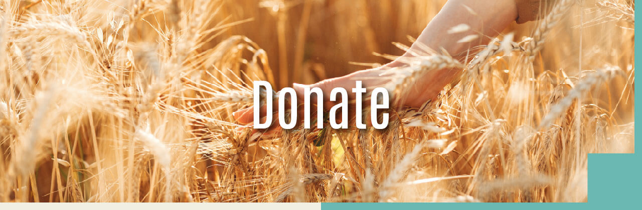 Donate