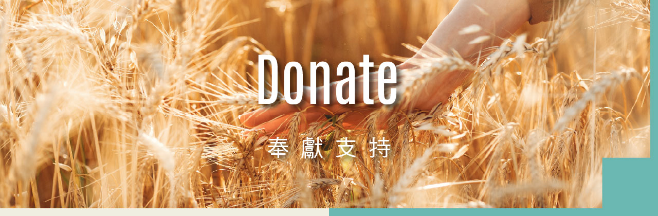 奉獻支持